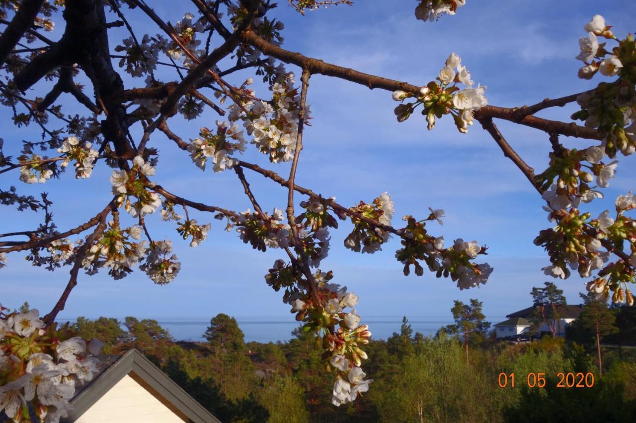 Risor Bed & Breakfast, Randvik Strand Bagian luar foto